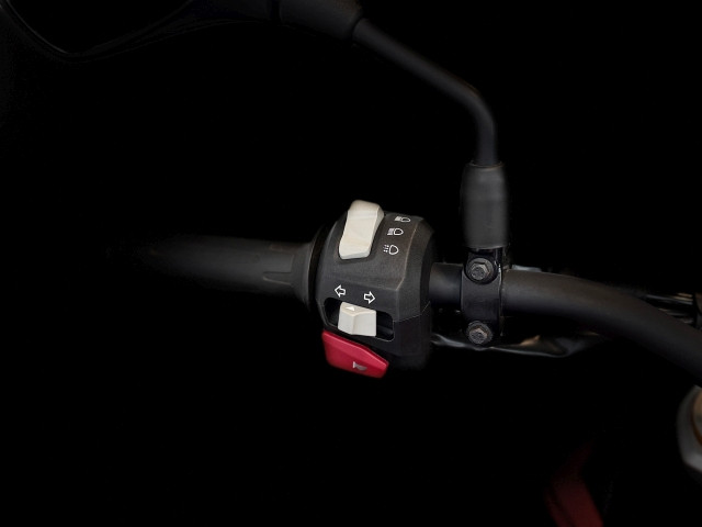 Bild 4: BMW Motorrad G 310 GS