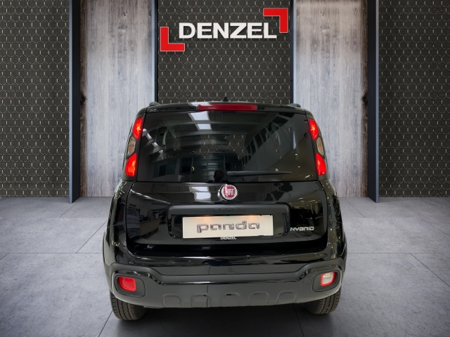 Bild 10: Fiat Panda Firefly Hybrid Cross
