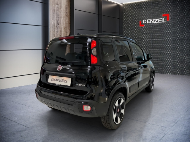 Bild 3: Fiat Panda Firefly Hybrid Cross