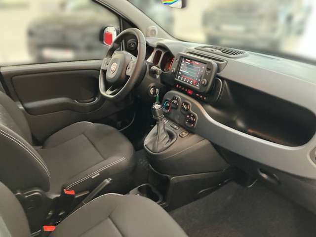 Bild 5: Fiat Panda Firefly Hybrid Cross