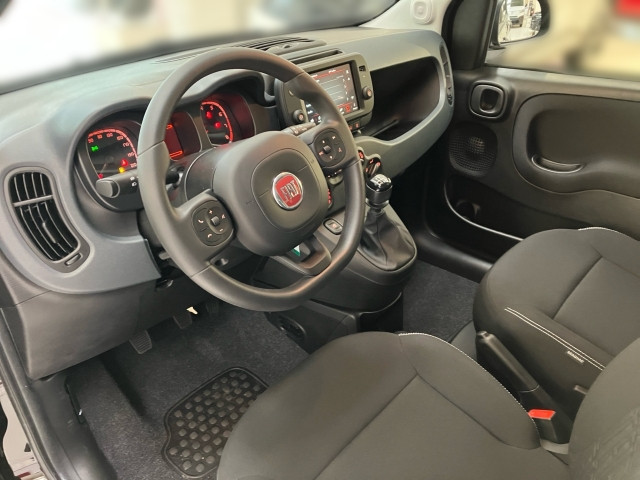 Bild 6: Fiat Panda Firefly Hybrid Cross