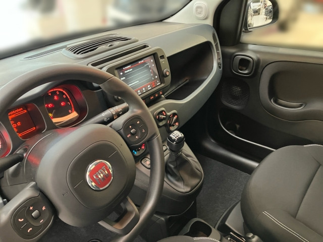 Bild 7: Fiat Panda Firefly Hybrid Cross