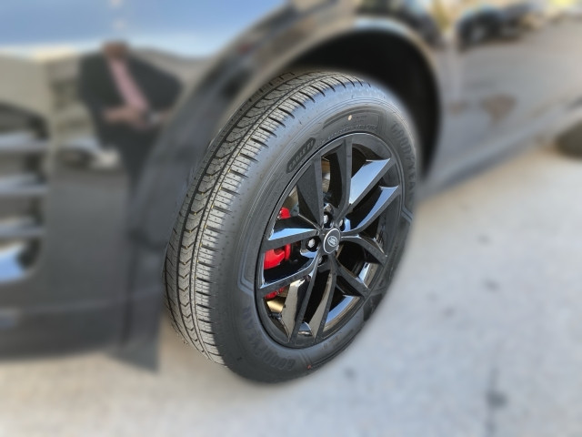 Bild 4: Land Rover Discovery Sport D165 Dynamic SE