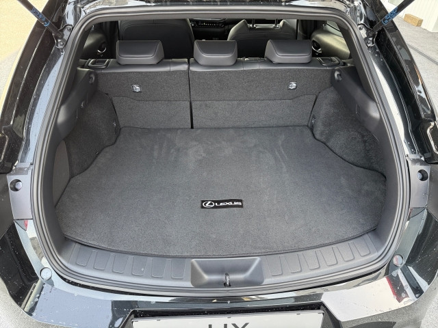 Bild 9: Lexus UX 300h F-Sport Design