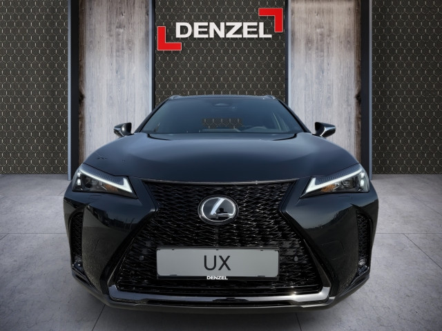 Bild 12: Lexus UX 300h F-Sport Design