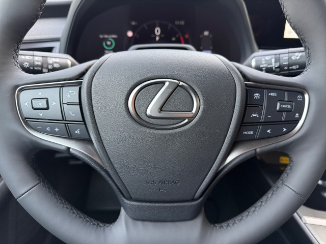 Bild 14: Lexus UX 300h F-Sport Design