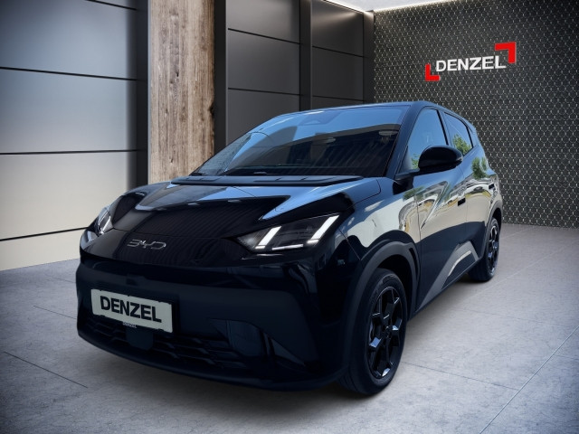 Bild 1: BYD Dolphin Surf Comfort