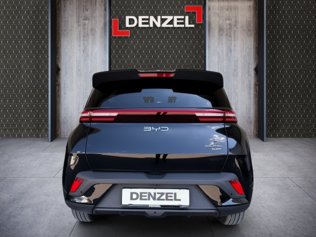 Bild 8: BYD Dolphin Surf Comfort