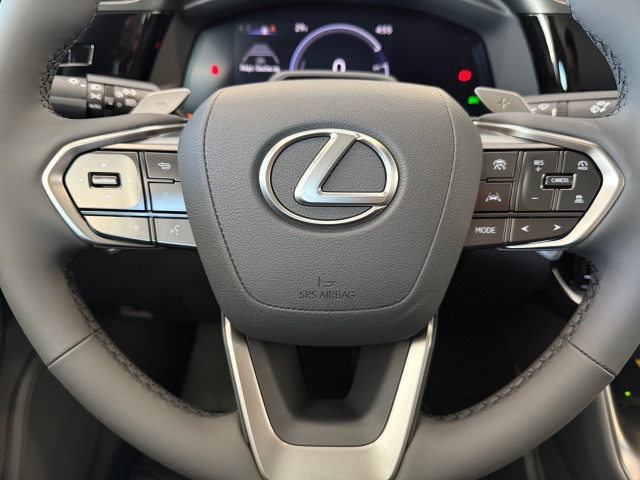 Bild 14: Lexus RZ 300e