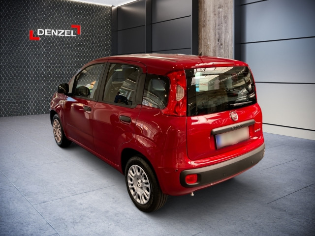 Bild 2: Fiat Panda/Pandina MY25