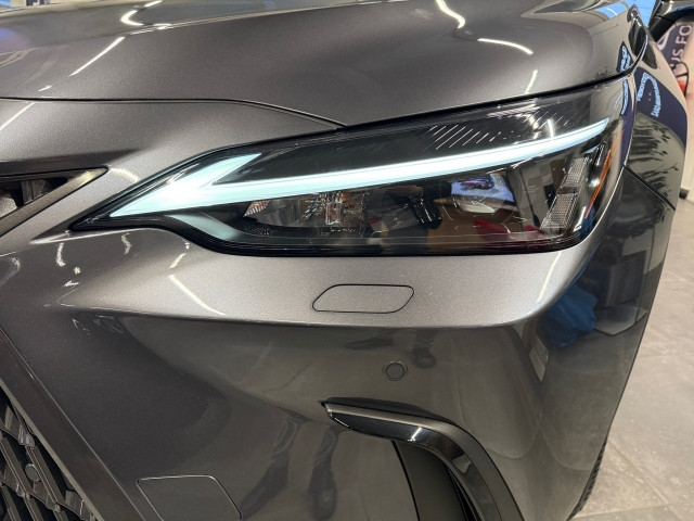 Bild 10: Lexus NX 2,5l Plug-in, CVT Executive Line