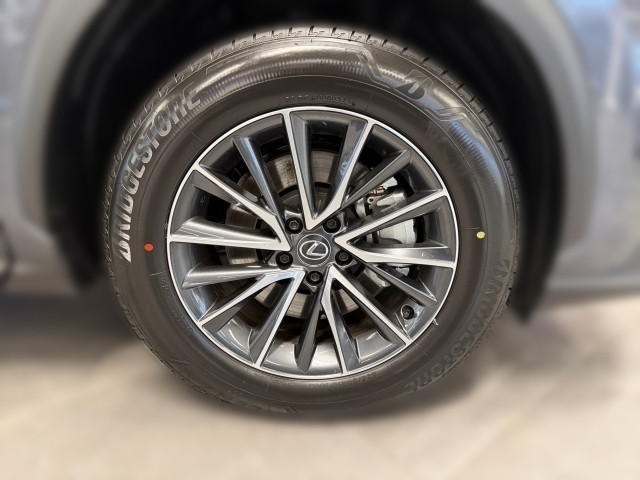 Bild 12: Lexus NX 2,5l Plug-in, CVT Executive Line