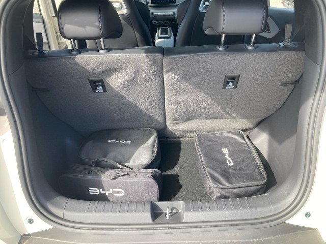 Bild 9: BYD Dolphin Surf Boost