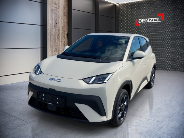 Bild 1: BYD Dolphin Surf Boost