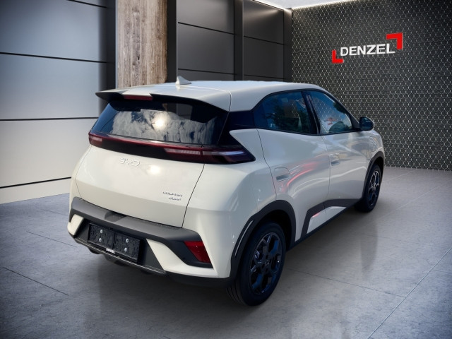 Bild 3: BYD Dolphin Surf Boost