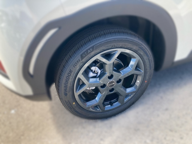 Bild 4: BYD Dolphin Surf Boost