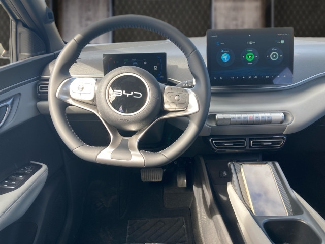 Bild 6: BYD Dolphin Surf Boost