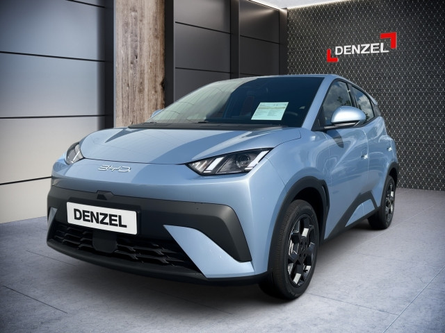 Bild 1: BYD Dolphin Surf Boost