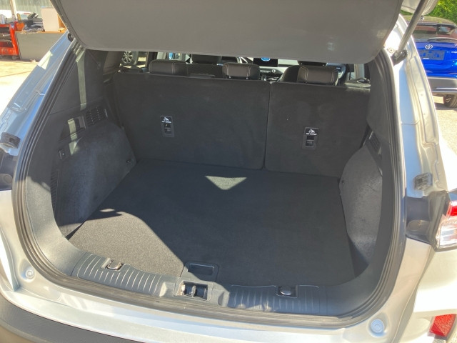 Bild 9: Ford Kuga 1,5 EcoBlue Titanium Aut