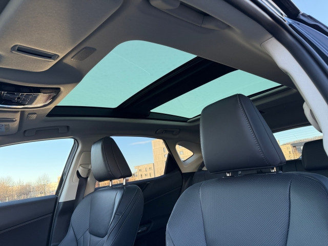 Bild 13: Lexus NX 2,5l Plug-in, CVT Executive Line