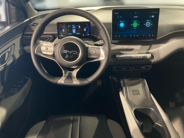 Bild 4: BYD Dolphin Surf Boost