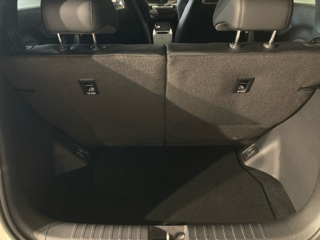 Bild 8: BYD Dolphin Surf Boost