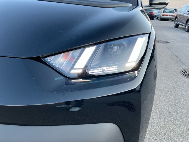 Bild 11: BYD Dolphin Surf Comfort