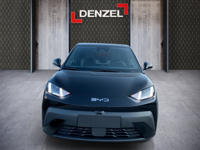 Bild 12: BYD Dolphin Surf Comfort