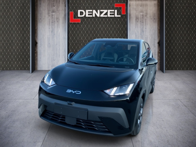 Bild 1: BYD Dolphin Surf Comfort