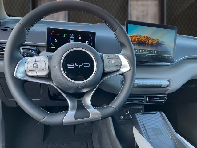 Bild 6: BYD Dolphin Surf Comfort