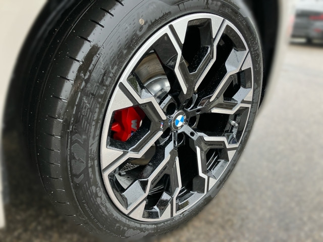 Bild 4: BMW X3 xDrive30e G45 XB1