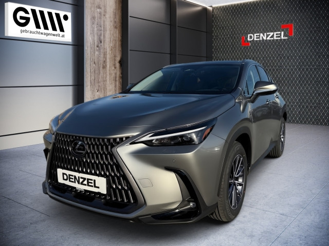 Bild 14: Lexus NX 2,5l, CVT Executive
