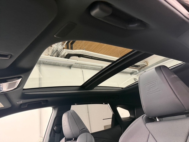 Bild 14: Lexus RX 500h F SPORT