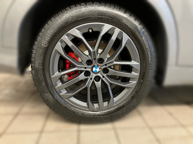 Bild 4: BMW X2 xDrive20d U10 B47