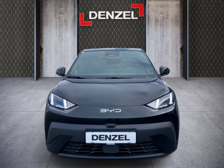 Bild 12: BYD Dolphin Surf Comfort