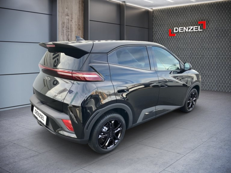 Bild 3: BYD Dolphin Surf Comfort