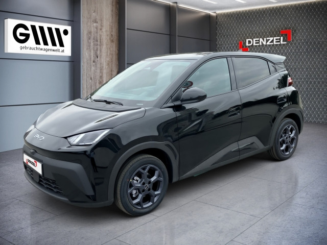 Bild 0: BYD Dolphin Surf Comfort