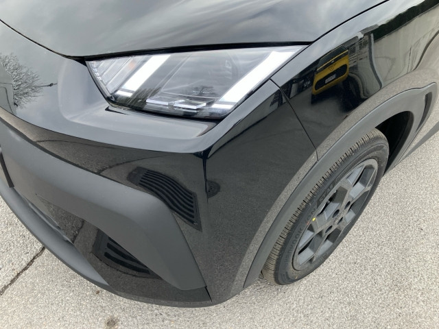 Bild 6: BYD Dolphin Surf Comfort