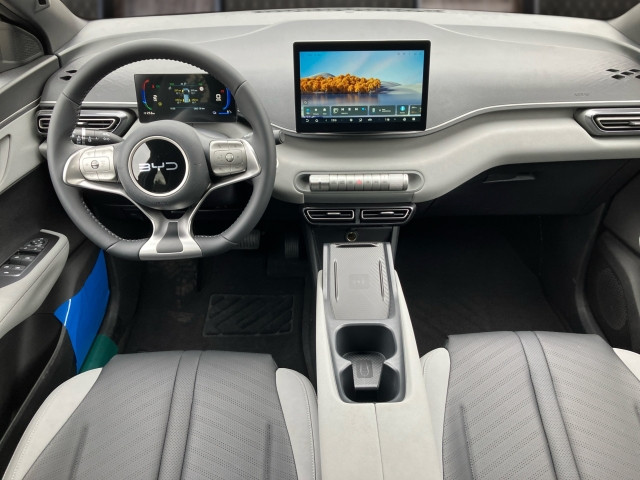 Bild 8: BYD Dolphin Surf Comfort