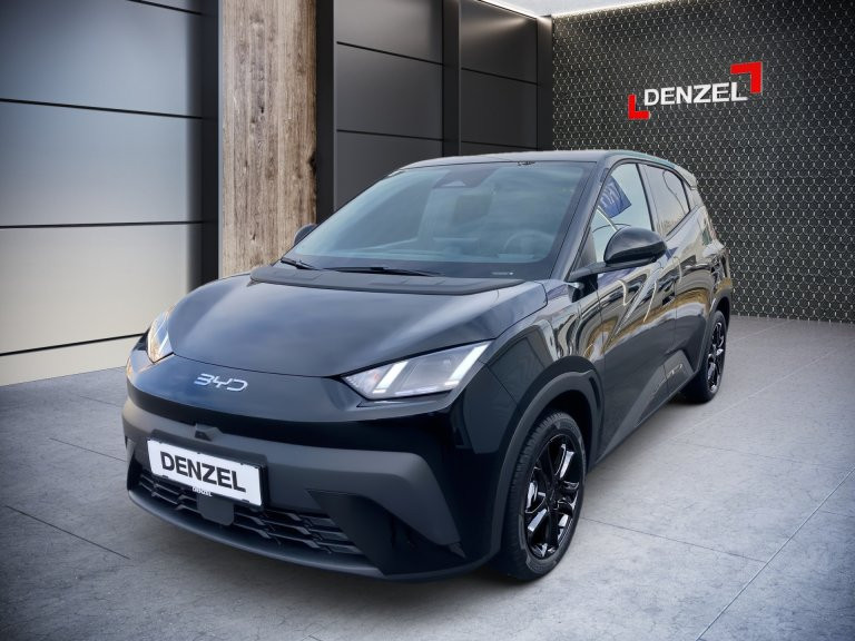 Bild 0: BYD Dolphin Surf Boost