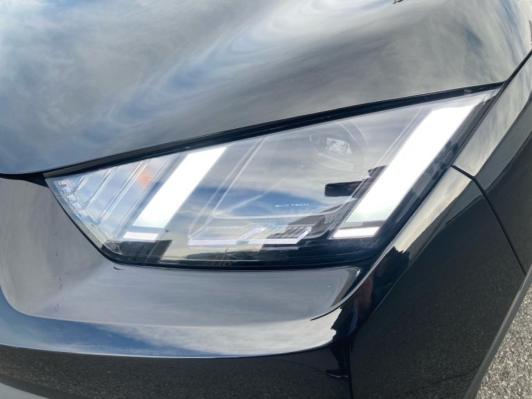 Bild 11: BYD Dolphin Surf Boost