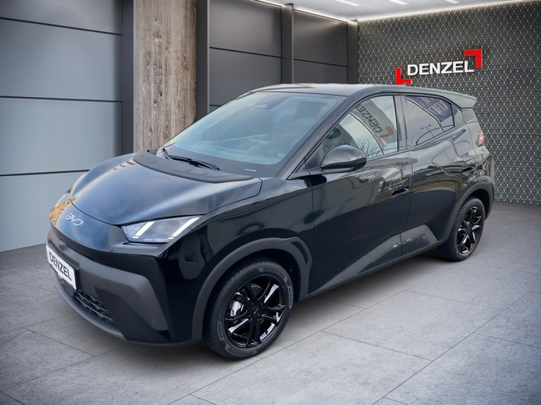 Bild 1: BYD Dolphin Surf Boost