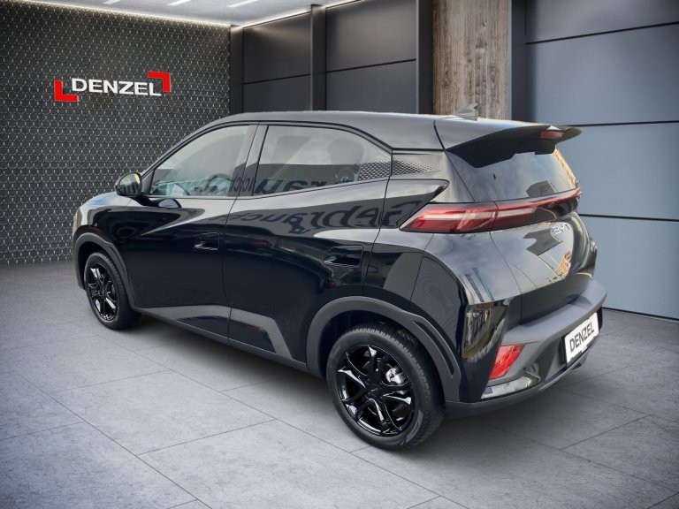 Bild 2: BYD Dolphin Surf Boost