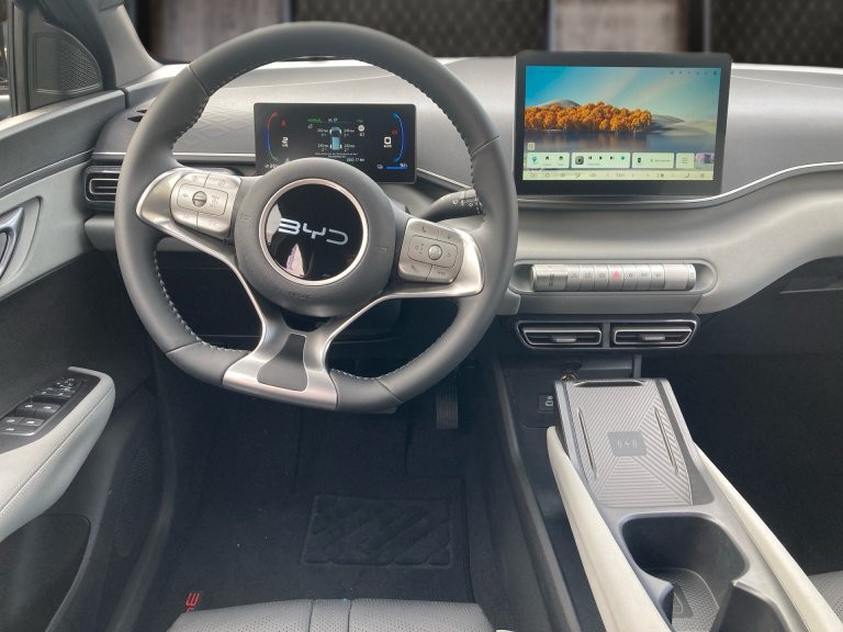 Bild 6: BYD Dolphin Surf Boost