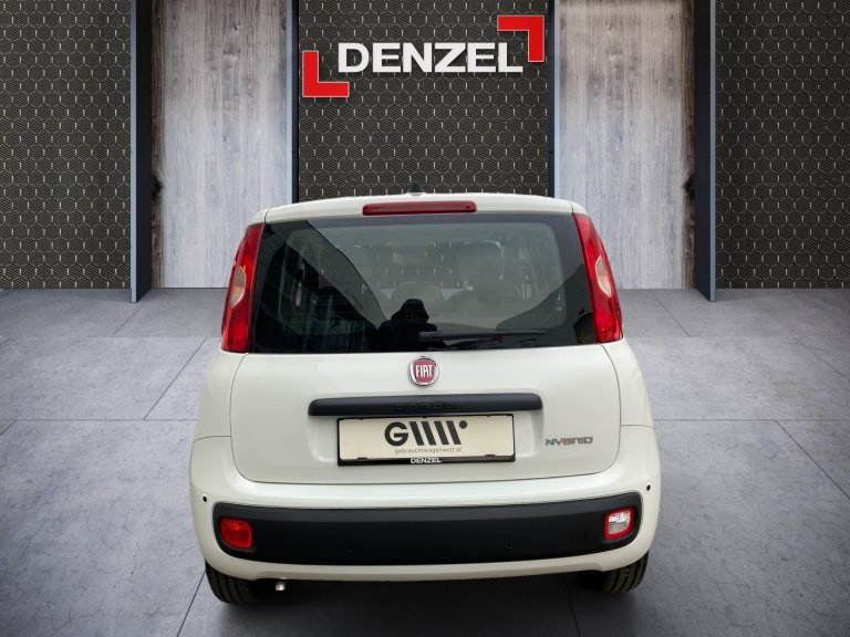 Bild 10: Fiat Panda 4x2 FireFly Hy