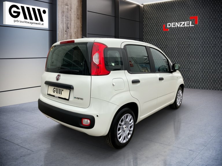 Bild 3: Fiat Panda 4x2 FireFly Hy