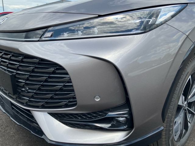 Bild 5: MG HS HEV Luxury Lenkradhzg. 25.5 Österreich Paket