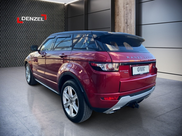 Bild 6: Land Rover Range Rover Evoque D