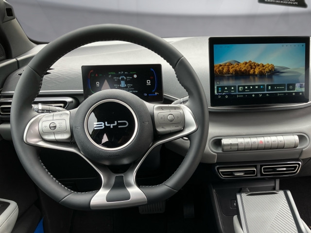 Bild 6: BYD Dolphin Surf Boost