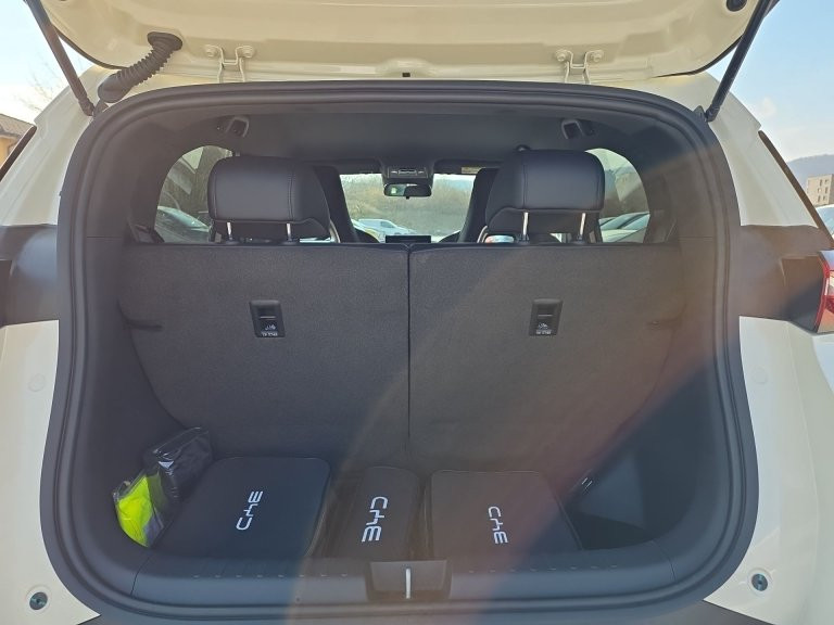 Bild 9: BYD Dolphin Surf Comfort